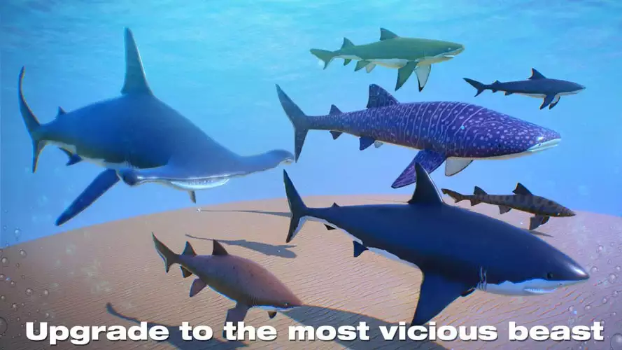 دانلود Shark Simulator 2019 1.2 – بازی اکشن کوسه گرسنه برای اندروید